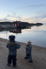 75fe1201-146d-4ee4-81d0-10294651a314