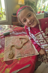 f0c6c83d-8dff-4180-95dc-75c047a2eb9b