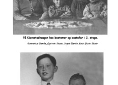 Slektsboken Skaar som bilder