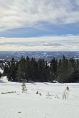 5b18d237-6480-4aa7-9cb3-f95810bfaf67